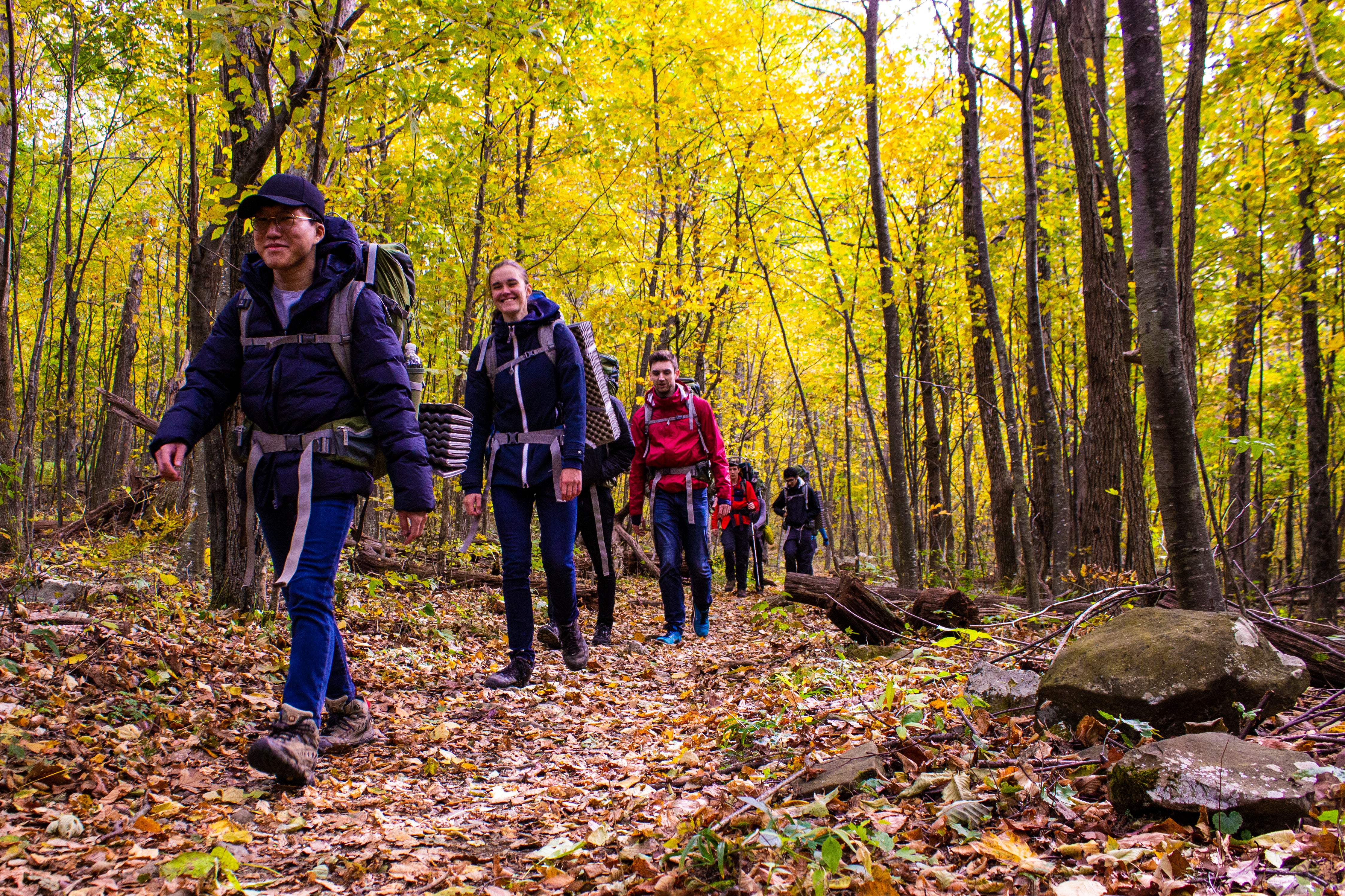 Image of people hiking