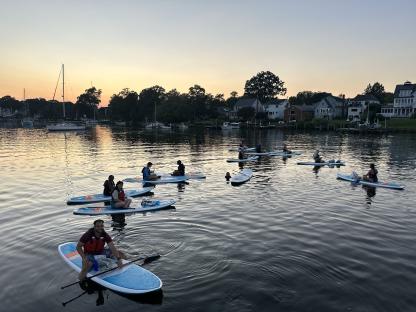 group of individuals paddleboarding at dusk