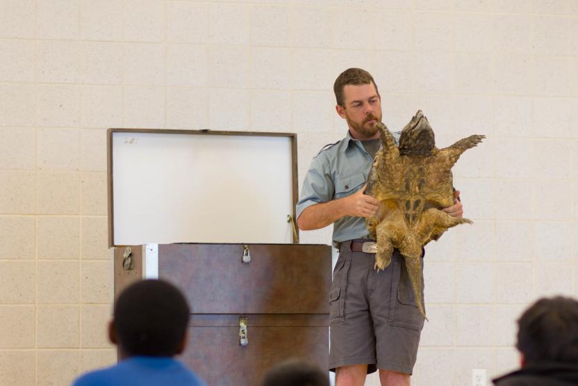 terpquest turtle