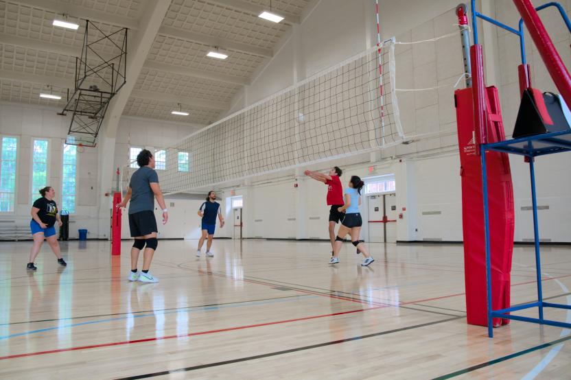 volleyball
