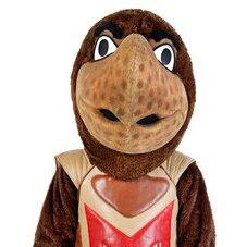 Portrait of Erica Javadpour